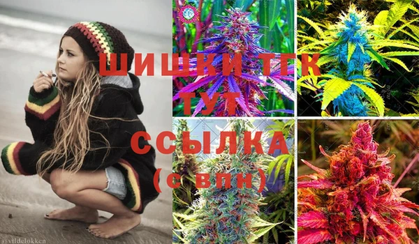 стафф Богородицк