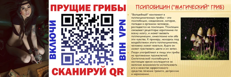 Псилоцибиновые грибы мухоморы Новосиль